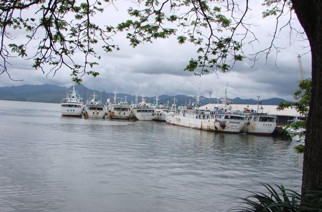Long line fishing fleet in Suva Harbour © BW Media